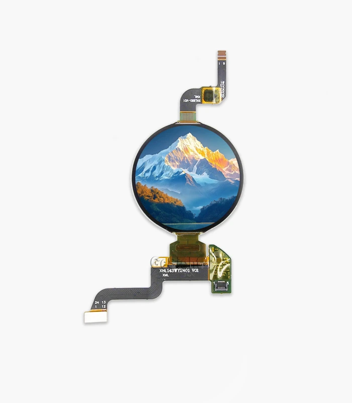 1.43-inch round AMOLED display module showing a sample image on screen with integrated on-cell touch.