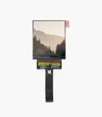 2.95-inch AMOLED display module front view with sample image on screen