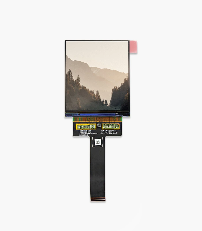 2.95-inch AMOLED display module front view with sample image on screen